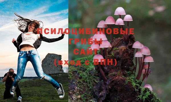 дурь Алексин