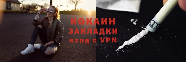 прущий лед Алзамай