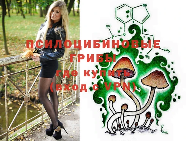 дурь Алексин